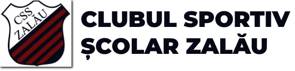 Logo-&-Text-CSS-Zalau